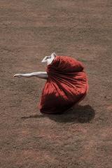 Petals and The Wind (Color Figurative Photography) Framed 2