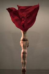 Lone Rose (In collaboration with The Martha Graham Dance Company) 1