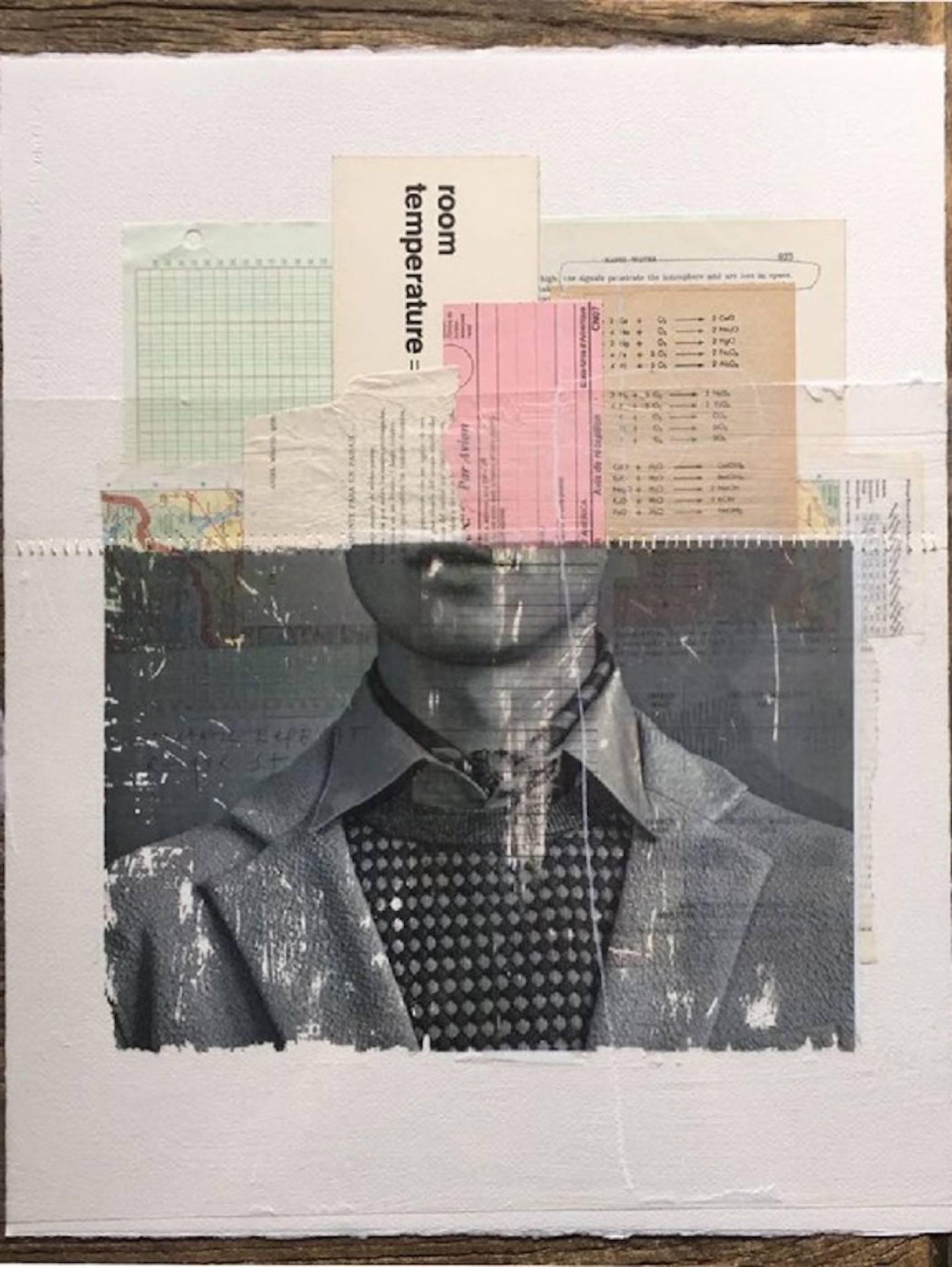Temperatura ambiente, retrato collage en técnica mixta - Mixed Media Art Arte pop de Roberto Fonfria