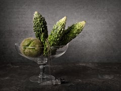 Melon Amargo. De la série de photographies couleur de natures mortes des Bodegones