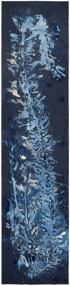 Laminariales XVIII. From the series Bosque Cyanotype photograph