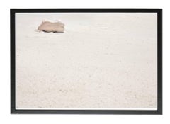 The Seed / Desert Flower – Italy, Large Print (Framed)