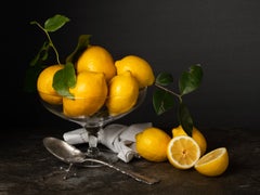 Limones con Cuchara. From The Bodegones series. Still life color photography