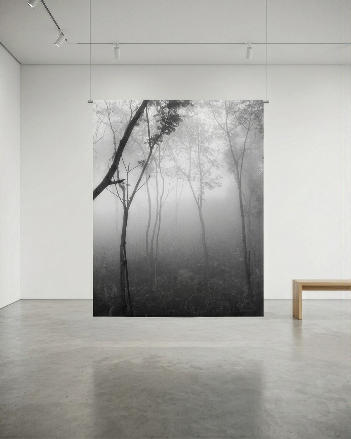 Black and White Photograph Miguel Winograd  - Bosque Seco Tropical III Montes de María. Sublimation sur textile
