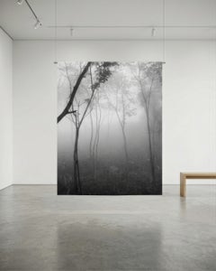 Bosque Seco Tropical III Montes de María. Sublimation sur textile