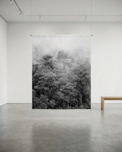 Forêt de brume II Chicaque. Sublimation sur textile