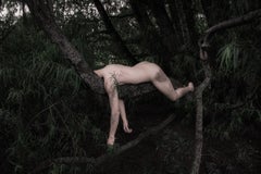 Engulfment Cordoba 5 and 7, Nude Color Photograph Diptych