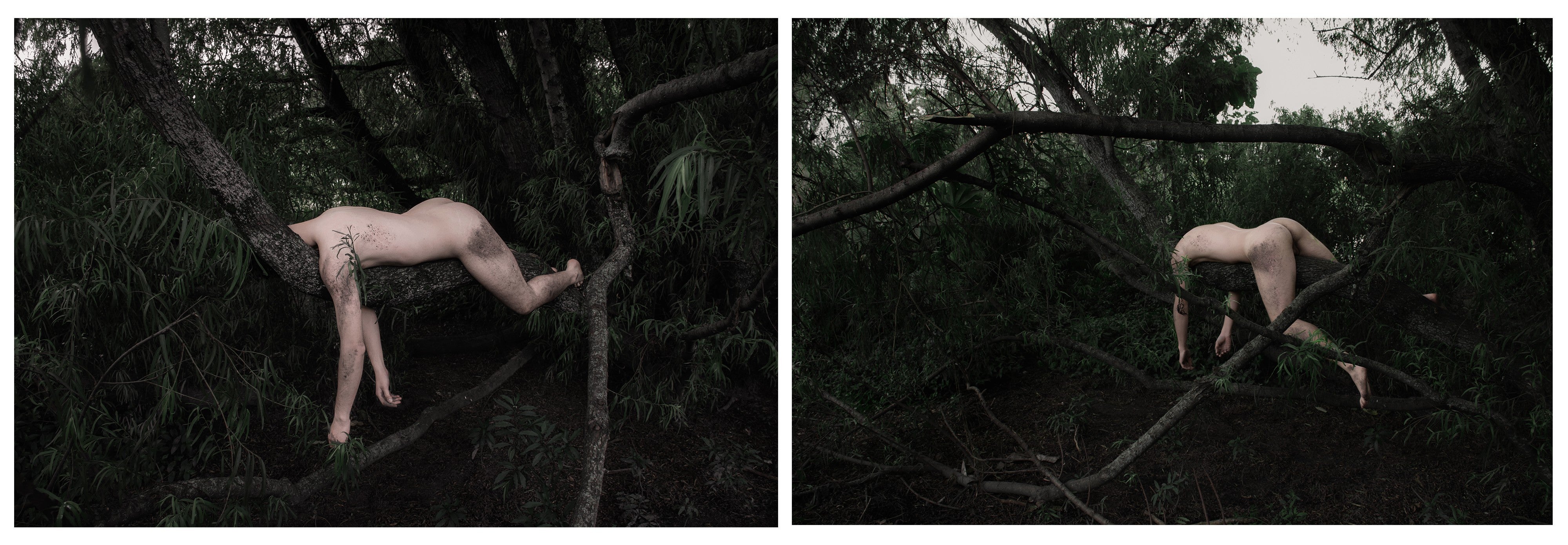 Engulfment Cordoba 5 and 7, Nude Color Photograph Diptych