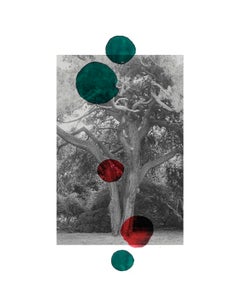 267247. Photographic print and ink on paper
