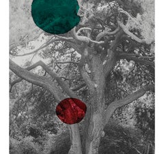 267247. Photographic print and ink on paper