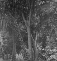 262023. Tirage photographique et encre sur papier