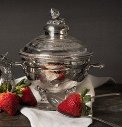 Strawberries still life. From The Bodegones Series.