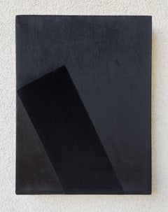 Soft Form 2. From Achromatic velour paintings series