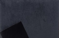 Soft Form 2. From Achromatic velour paintings series