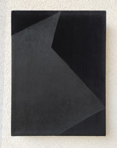 Soft Form 3. From Achromatic velour paintings series