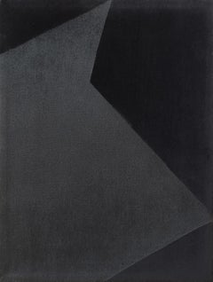 Soft Form 3. From Achromatic velour paintings series
