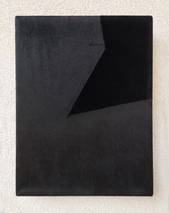 Soft Form 4. From Achromatic velour paintings series