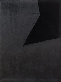 Soft Form 4. From Achromatic velour paintings series