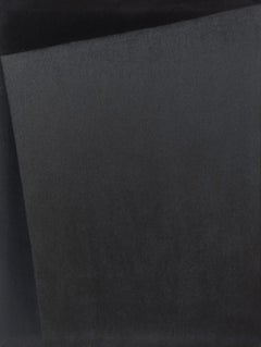 Soft Form 6. From Achromatic velour paintings series