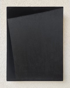 Soft Form 6. From Achromatic velour paintings series
