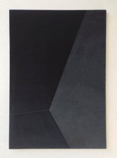 Big Soft Form 1. From Achromatic velour paintings series