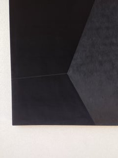 Big Soft Form 1. From Achromatic velour paintings series
