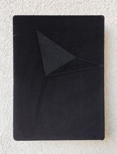 Small Soft Form A & B, Dyptich. From Achromatic velour paintings series