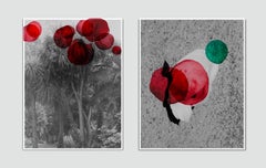 262023 y 266930. . Fotografía intervenida. Impresión fotográfica y tinta sobre papel