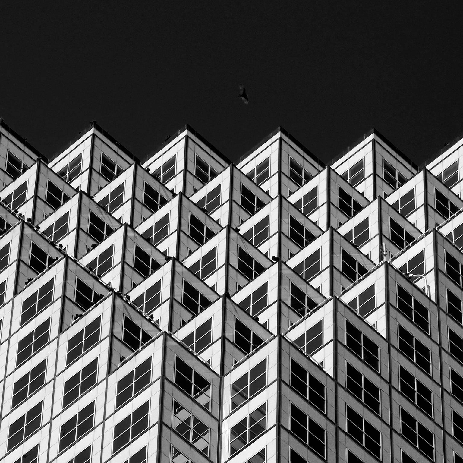Luca Artioli Black and White Photograph - Miami Downtown 1, Black and White Landscape Architectural Photograph