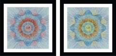 Shepard Fairey Abstract Prints