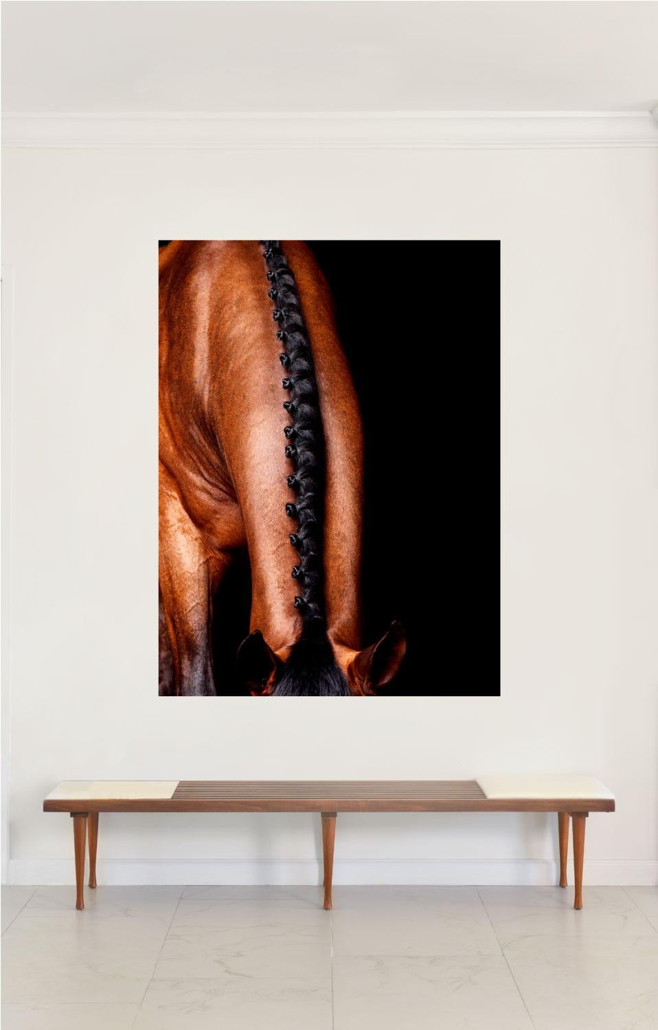 Lamerick Neck, Horse Series, Medium Archival Pigment Print - Photograph by Juan Lamarca