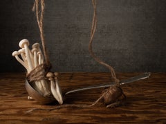 Hongos y cuchara. De la serie de bodegones fotográficos en color