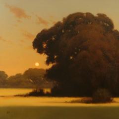 Twilight at Garland Park