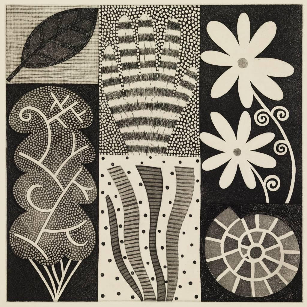 Lisa Houck Abstract Print - Untitled Plant Abstraction, Geometric Nature Modern Black and White Etching