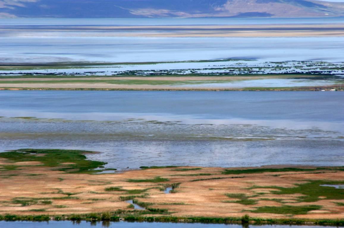 Diane Tuft Landscape Photograph - Salt Lake 1