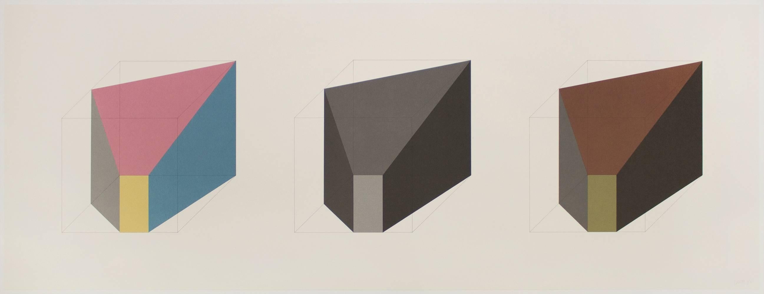 Sol LeWitt Abstract Print - Forms Derived From A Cube In Color (Simple & Superimposed) & Black & Grey