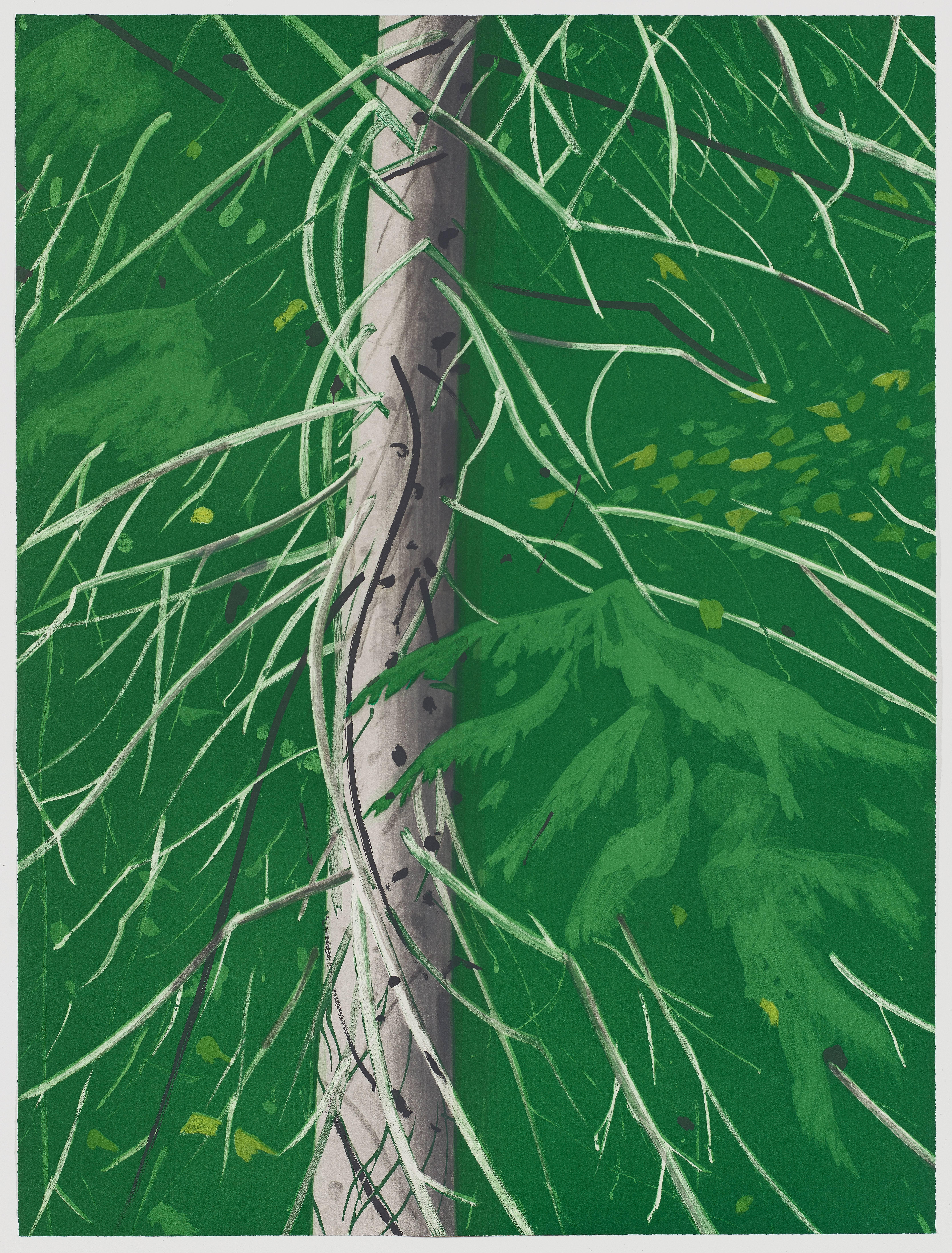 Alex Katz Landscape Print - Spruce