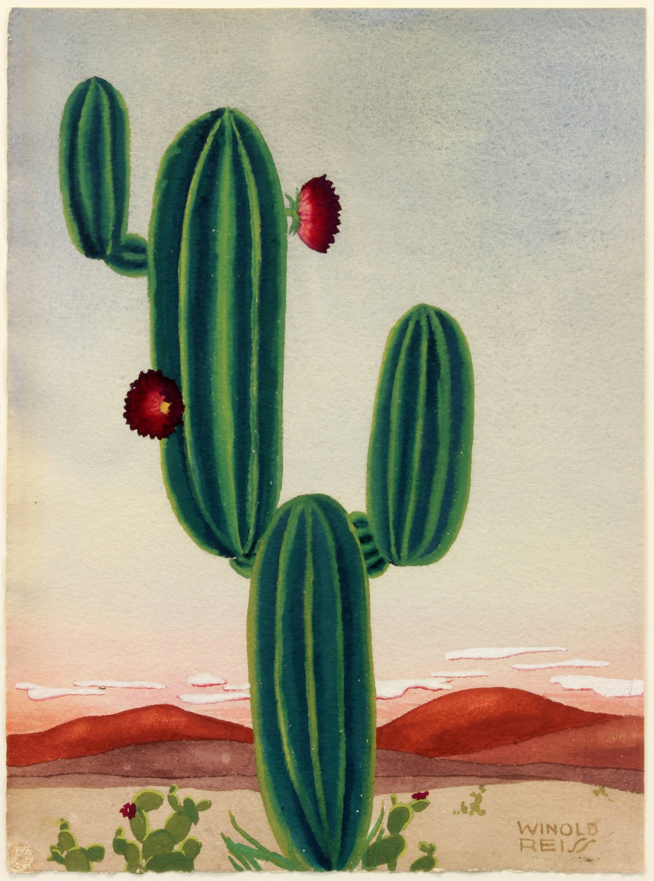 Winold Reiss Landscape Painting - Cacti