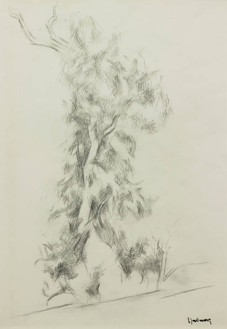 Andrew Dasburg Landscape Art - Cottonwood tree