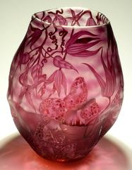 Morels in the Virgins Bower