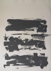 The Land - Original handsigned lithograph