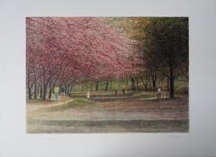 Central Park Views : The Spring - Original handsigned lithograph