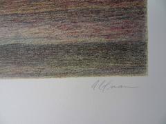 Central Park Views : The Spring - Original handsigned lithograph