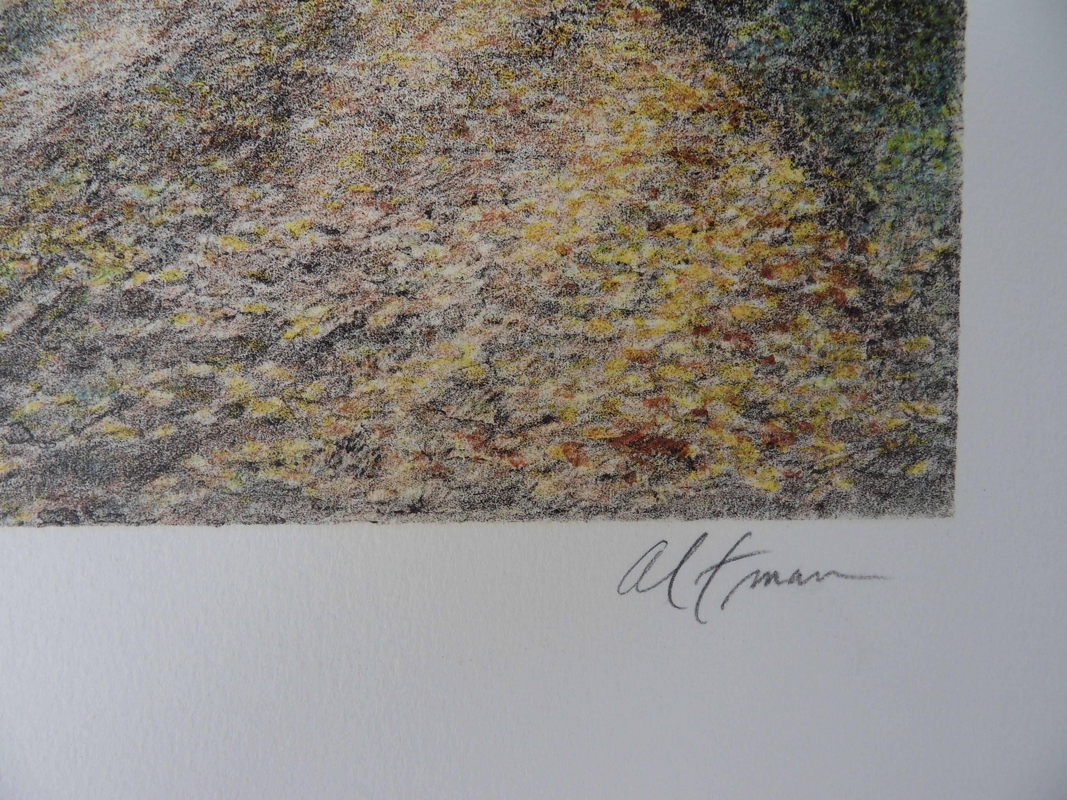 Central Park Views : Mom and Child - Original handsigned lithograph - Print by Harold Altman