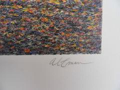 Central Park Views : Horseman - Original handsigned lithograph