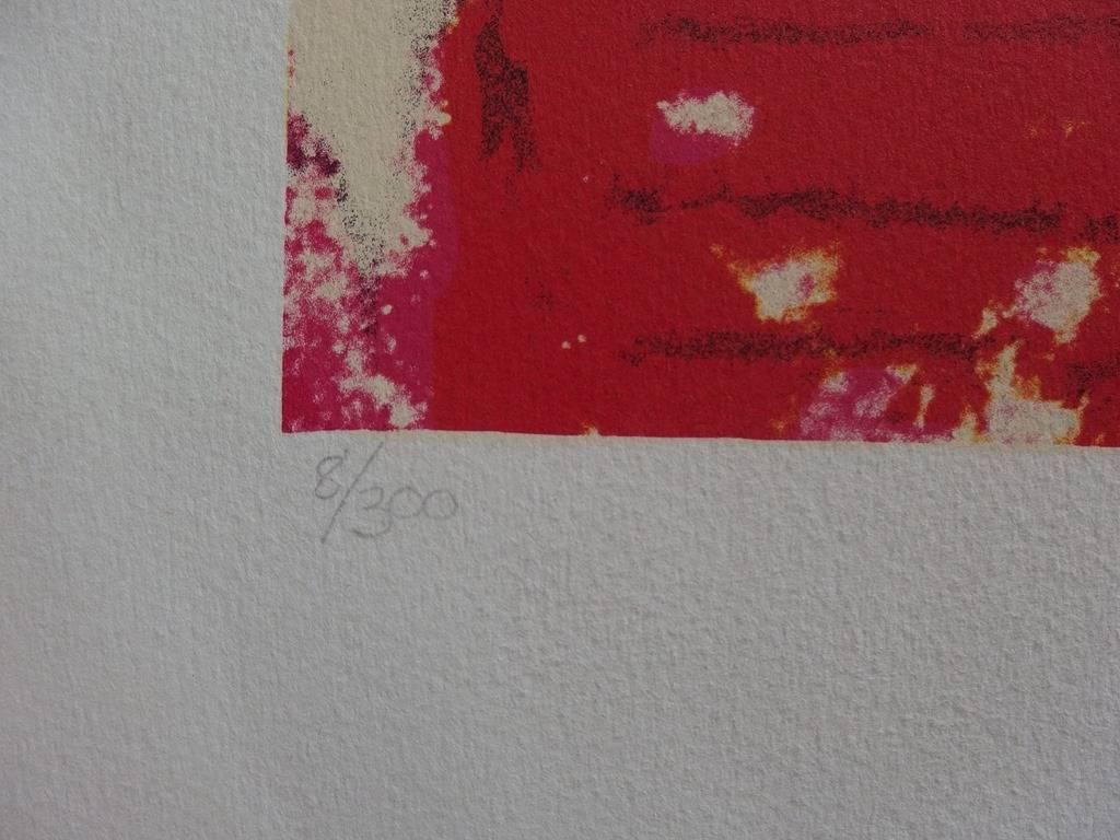 The Lawyer - Original handsigned lithograph - 300 copies - 1978 - Surrealist Print by Salvador Dalí