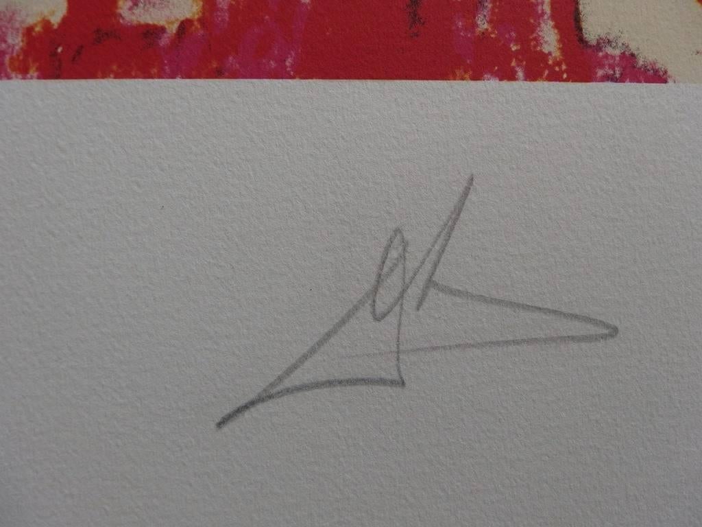 The Lawyer - Original handsigned lithograph - 300 copies - 1978 - Print by Salvador Dalí