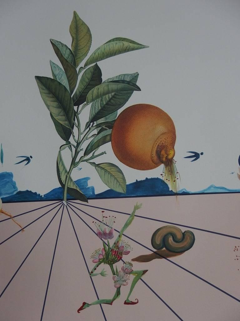 Salvador DALI
Flordali I

MEDIUM : Lithograph and embossing
SIGNATURE : Plate signed
LIMITED : 4880 copies
YEAR : 1981
PAPER : Arches vellum
SIZE : 30 x 42