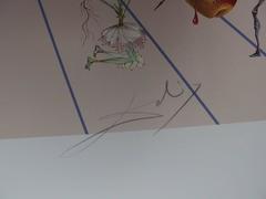 Flordali II : Butterfly Rose