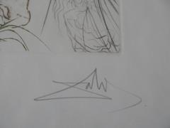 Shakespeare : The Merry Wives of Windsor - Original handsigned etching - 250 ex